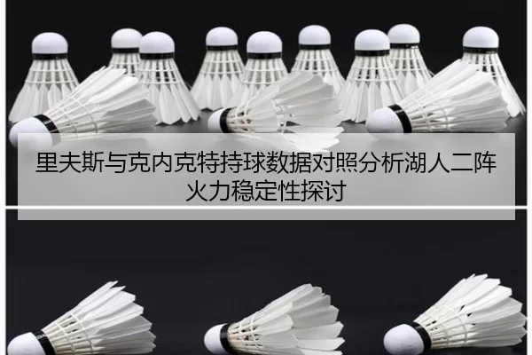 里夫斯与克内克特持球数据对照分析湖人二阵火力稳定性探讨