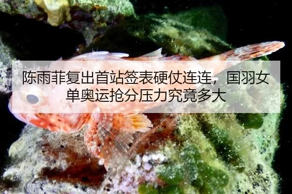 chen-yu-fei-fu-chu-shou-zhan-qian-biao-ying-zhang-lian-lian-guo-yu-nv-dan-ao-yun-qiang-fen-ya-li-jiu-jing-duo-da-2-295.jpg