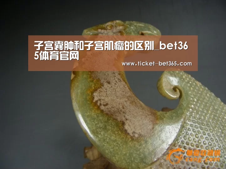 子宫囊肿和子宫肌瘤的区别_bet365体育官网(图1) bet365体育投注