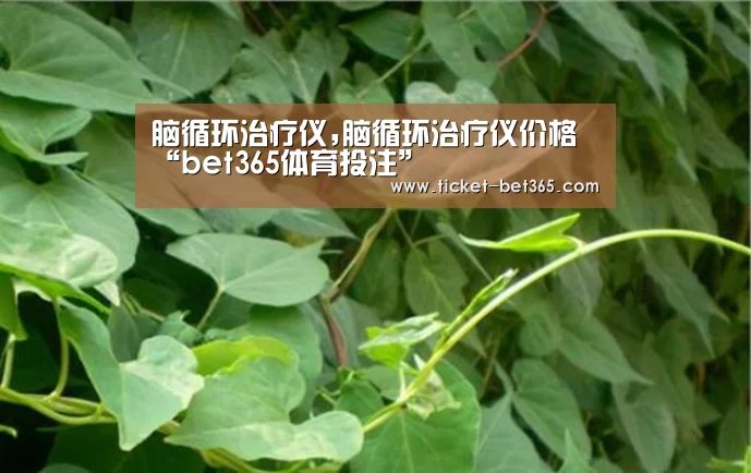 脑循环治疗仪,脑循环治疗仪价格“bet365体育投注”(图2) bet365体育官网
