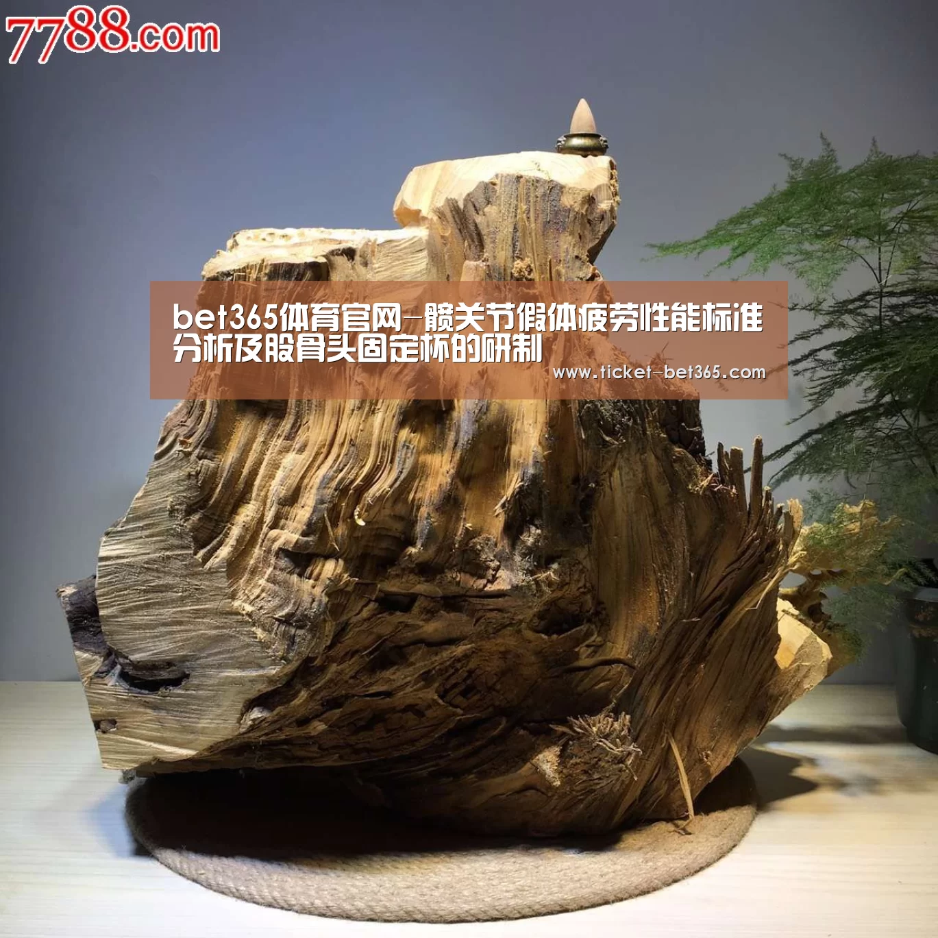 bet365体育官网-髋关节假体疲劳性能标准分析及股骨头固定杯的研制(图3) bet365体育官网