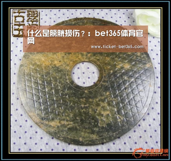 什么是膀胱损伤?:bet365体育官网(图1) bet365体育投注