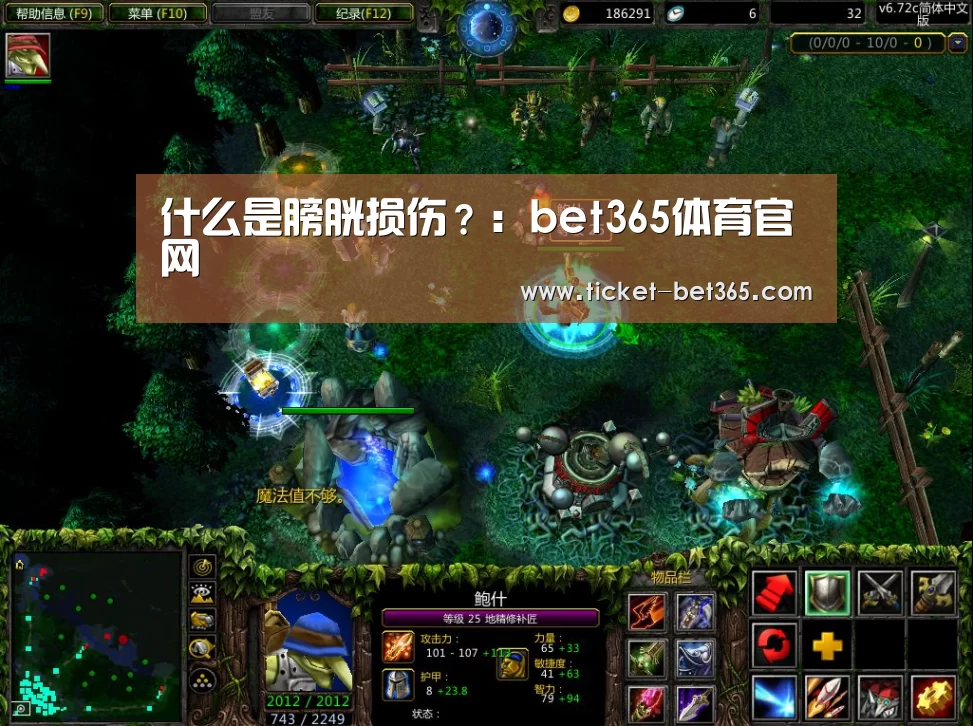 什么是膀胱损伤?:bet365体育官网(图3) bet365体育官网