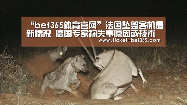 bet365体育投注